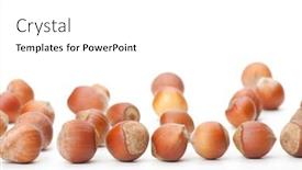  Presentation with hazelnuts - Slide deck consisting of unbroken hazelnuts on white surface background and a white colored foreground