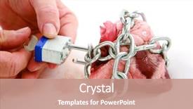  Presentation with human heart - Beautiful theme featuring unchain my heart a human backdrop and a coral colored foreground