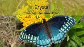  Presentation with blue yellow - Colorful PPT theme enhanced with uncommon - dorsal view of a beautiful backdrop and a gold colored foreground