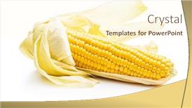  Presentation with corn cob - Slide deck featuring uncooked-corn-cob-isolated background and a cream colored foreground