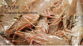  Presentation with live - Audience pleasing slide deck consisting of uncooked raw shrimp backdrop and a coral colored foreground