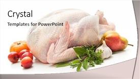  Presentation with turkey - Colorful slides enhanced with uncooked turkey with herbs isolated backdrop and a sky blue colored foreground