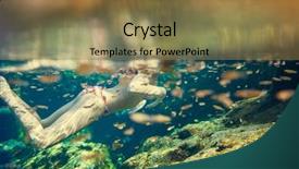  Presentation with mexico - Colorful PPT layouts enhanced with underground river - cenote mexico backdrop and a coral colored foreground