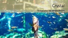  Presentation with mexico - PPT theme consisting of underground river - ik-kil cenote mexico background and a soft green colored foreground