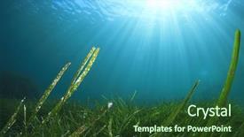  Presentation with green seaweed - Beautiful slide set featuring underwater and green seaweed backdrop and a tawny brown colored foreground