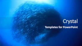  Presentation with malaysia - Theme consisting of underwater animals - school of barracuda fish background and a navy blue colored foreground