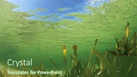  Presentation with sea water - Presentation enhanced with underwater-background-of-green-sea background and a tawny brown colored foreground