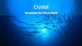  Presentation with fish ocean - Beautiful presentation theme featuring underwater blue ocean and barracuda backdrop and a gray colored foreground