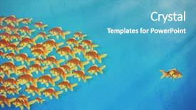  Presentation with blue water - PPT layouts enhanced with underwater communication - many fishes in blue water background and a teal colored foreground