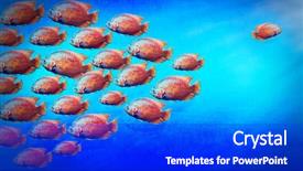  Presentation with stream - Audience pleasing slide deck consisting of underwater communication - many fishes in blue water backdrop and a cobalt blue colored foreground