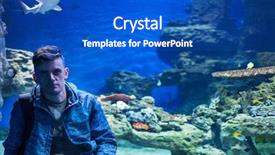  Presentation with photo - Colorful PPT layouts enhanced with underwater communication - photo of man with son backdrop and a cobalt blue colored foreground
