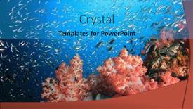  Presentation with coral reef - Colorful slide deck enhanced with underwater-coral-reef-and-fish backdrop and a teal colored foreground