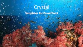  Presentation with coral reef - Theme having underwater-coral-reef-and-fish background and a teal colored foreground