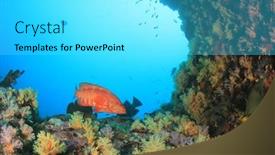  Presentation with coral reef - Theme enhanced with underwater-coral-reef-and-fish background and a cyan colored foreground