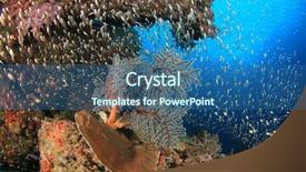 Presentation with coral reef - Slide deck with underwater coral reef and fish background and a ocean colored foreground