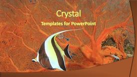  Presentation with reef octopus underwater - Cool new presentation theme with underwater coral reef and fish backdrop and a red colored foreground