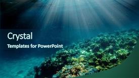  Presentation with sea coral - Colorful slide deck enhanced with underwater coral reef backdrop and a ocean colored foreground