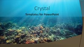  Presentation with sea coral - PPT theme having underwater-coral-reef background and a cyan colored foreground
