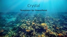  Presentation with sea coral - Slides having underwater-coral-reef background and a cyan colored foreground