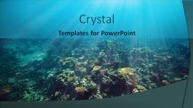  Presentation with sea coral - Beautiful slides featuring underwater-coral-reef backdrop and a cyan colored foreground