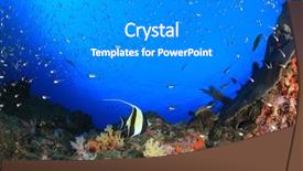  Presentation with coral reef - Colorful PPT theme enhanced with underwater coral reef backdrop and a gray colored foreground