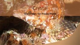  Presentation with underwater - Amazing PPT theme having underwater-fish-called-a-painted backdrop and a coral colored foreground