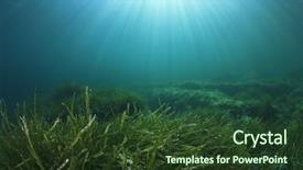  Presentation with green seaweed - Presentation theme having underwater green seaweed background and a  colored foreground