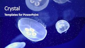  Presentation with moon - PPT theme enhanced with underwater image of moon jellyfishes background and a royal blue colored foreground