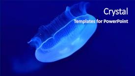  Presentation with moon cosmoss - Presentation design having underwater image of moon jellyfishes background and a navy blue colored foreground