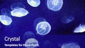  Presentation with moon apollo robotics - Colorful slide set enhanced with underwater image of moon jellyfishes backdrop and a navy blue colored foreground