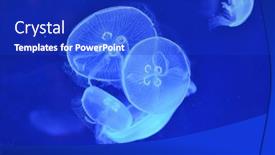  Presentation with moon - Cool new slides with underwater-image-of-moon-jellyfishes backdrop and a royal blue colored foreground