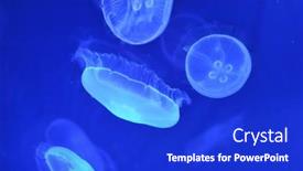 Presentation with underwater - Theme enhanced with underwater-image-of-moon-jellyfishes background and a cobalt blue colored foreground