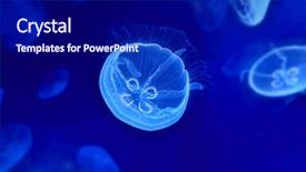  Presentation with jellyfish - Beautiful PPT theme featuring underwater image of moon jellyfishes backdrop and a navy blue colored foreground