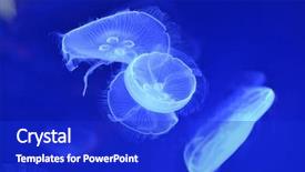  Presentation with moon apollo robotics - Presentation design having underwater image of moon jellyfishes background and a  colored foreground