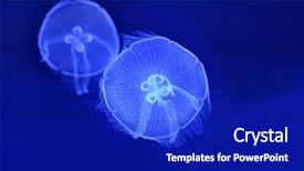  Presentation with underwater industry - PPT layouts with underwater image of moon jellyfishes background and a  colored foreground