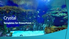  Presentation with fishes - Amazing presentation design having underwater image of reef and fishes backdrop and a ocean colored foreground