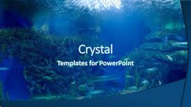  Presentation with fishes - Theme featuring underwater image of tropical fishes background and a  colored foreground