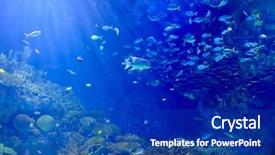  Presentation with underwater - PPT layouts featuring underwater image of tropical fishes background and a ocean colored foreground
