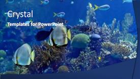  Presentation with fishes - 