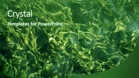  Presentation with water life - Amazing presentation theme having underwater life - water plants background backdrop and a  colored foreground