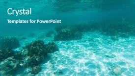  Presentation with coral - Theme with underwater marine life on coral background and a ocean colored foreground