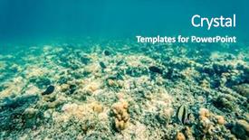 Presentation with marine life - PPT layouts with underwater marine life on coral background and a teal colored foreground
