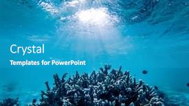  Presentation with marine life - Presentation theme with underwater-marine-life-on-coral background and a teal colored foreground
