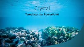  Presentation with marine life - Audience pleasing presentation theme consisting of underwater-marine-life-on-coral backdrop and a cyan colored foreground