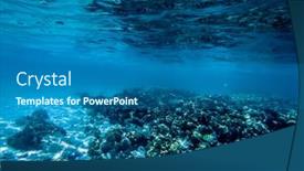  Presentation with marine life - Presentation design enhanced with underwater-marine-life-on-coral background and a ocean colored foreground