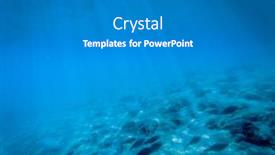  Presentation with marine life - Beautiful presentation design featuring underwater-marine-life-on-coral backdrop and a gray colored foreground