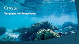  Presentation with marine life - Cool new PPT theme with underwater-marine-life-on-coral backdrop and a teal colored foreground