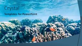  Presentation with marine life - Beautiful slide set featuring underwater-marine-life-on-coral backdrop and a teal colored foreground