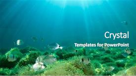  Presentation with fish ocean - Colorful slide deck enhanced with underwater ocean and fish backdrop and a teal colored foreground