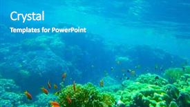  Presentation with coral - Presentation design with underwater panorama with fish and coral background and a light gray colored foreground